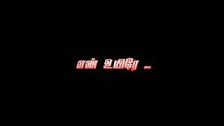 Nenjodu Kalanthavale Tamil Black Screen Lyrics  Lo