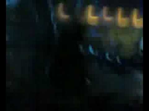 dj ralf @ villa delle rose 05/08/08 6/9