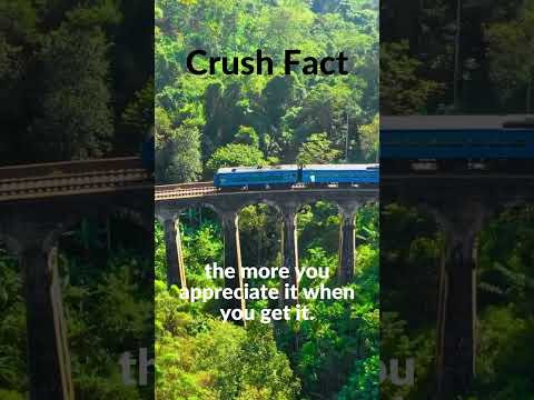 Heartstrings and Crushes: Unveiling Intriguing Facts #shorts