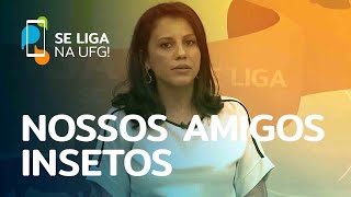 Miniatura do vídeo