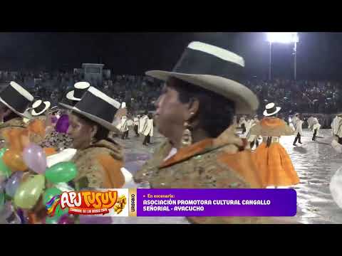 🥇1er Puesto Cat. Urbano: Comparsa Cangallo Señorial -  Carnaval Apu Tusuy - Abancay 2026
