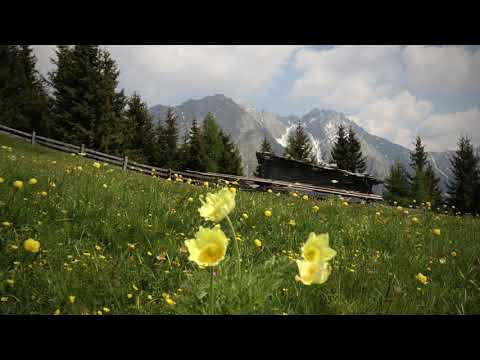 Alto Adige 2. Teil - Hirzer Panoramarunde und Staffelalm
