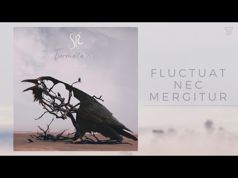 Fluctuat Nec Mergitur - Guilherme de Sá | Fermata XI