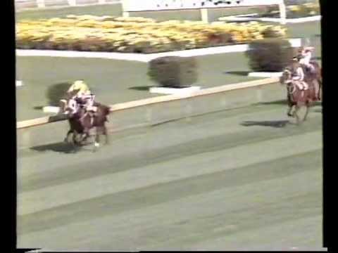 1987 Rawson Stakes - Myocard
