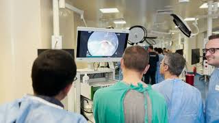Turkish Society of Gastroenterology ESD/POEM Academy