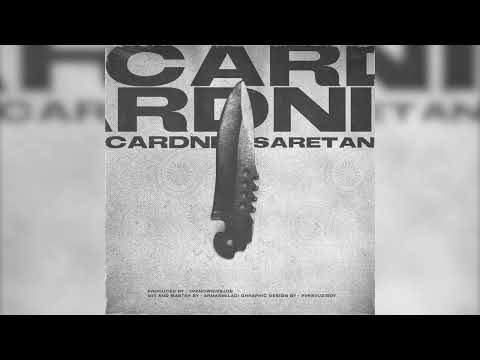 Arash Saretan - Cardni
