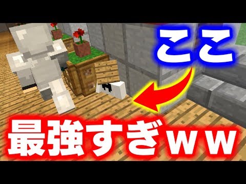 【マインクラフト】かくれんぼでマジで最強すぎる場所見つけたｗｗｗ【マイクラ実況】