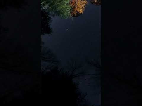 Night Sky Time GoPro 10 Timelapse