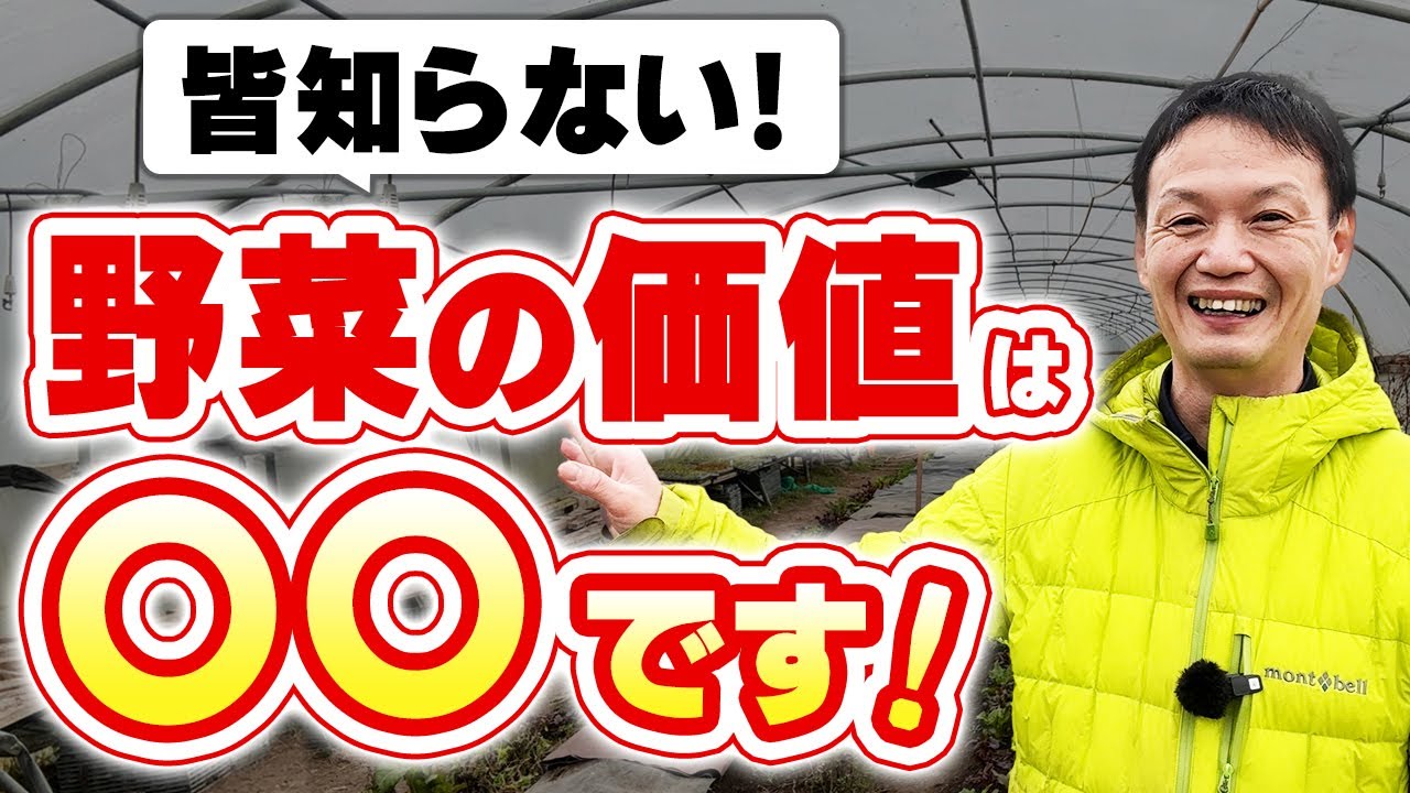 収穫量を超える自然栽培野菜の力