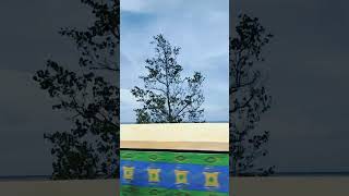 Download lagu Story WA otw liburan buat prank teman #laut #pantai #prank #storywa #story #prankvideo #jalanjalan mp3 Download lagu Story WA otw liburan buat prank teman #laut #pantai #prank #storywa #story #prankvideo #jalanjalan mp3