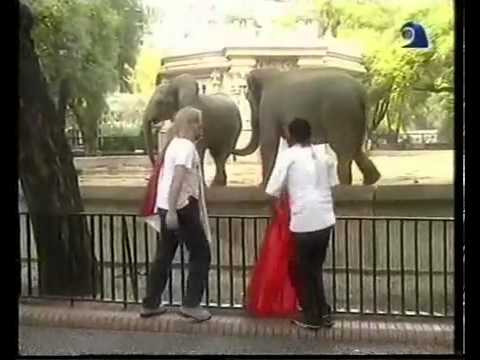 Todo por $2 - "Barrabravas en el Zoologico"