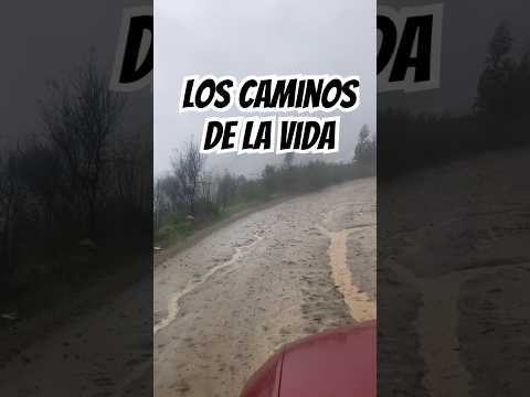 Los #caminos de la #vida #yungay
