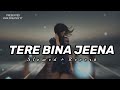 Tere Bina Jeena Slowed Reverb Lyrics Slowed Reverb Slowedandreverb