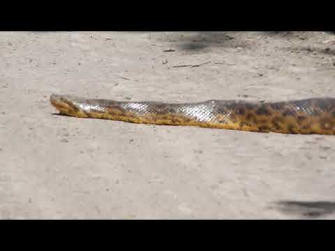 Boa .Villa Ocampo Santa Fe