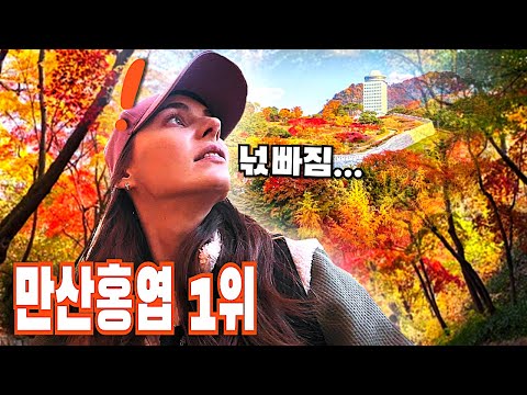 단풍 구경을 온 인파로 북새통을 이루는 건국 이래 최고의 도심 단풍 핫플!!
