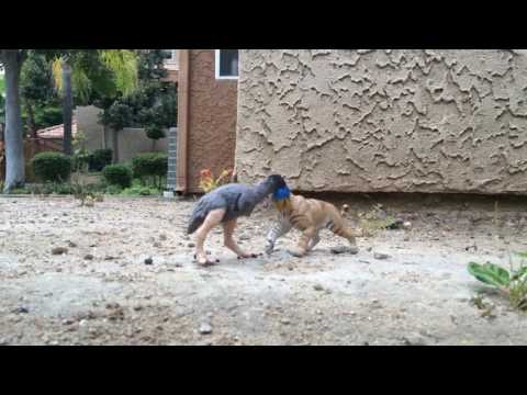 Smilodon vs. Phorusrhacos