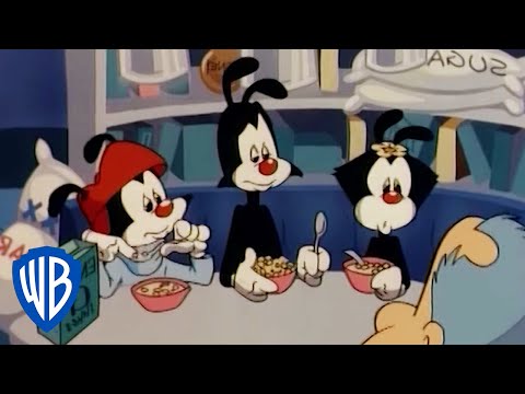 Animaniacs | The World's Most Boring Man | Classic Cartoon | WB Kids
