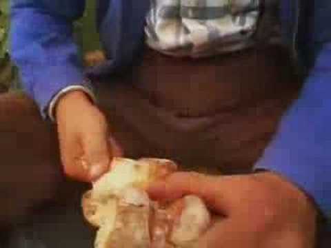 Svinkels - Prohibition