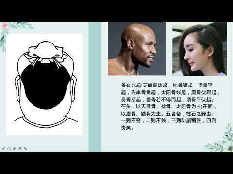 枕骨突出面相