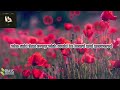Rainbow Connection ( Lyric Video ) by Sarah McLachlan