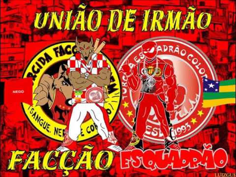 União De Cão A TEC E A FACÇÃO