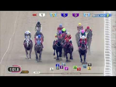 DWCC 2017 Triple Nine / Power Blade - Presidents Cup - Seoul Nov 13, 2016