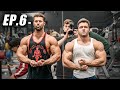 SHOULDERS & ARMS W/ DTREN | Bulk EP.6