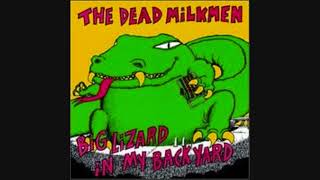 Plum Dumb - The Dead Milkmen