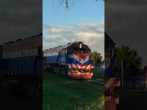 Locomotive NCA 9099 #shorts #shortvideo #viralvideo #gt22 #nca #ferrocarril