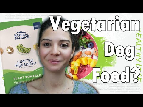 Search for the best vegetarian dog food:  Natural Balance Limited Ingredient review