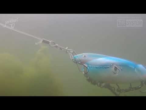 Svartzonker Big McRubber & The System Shallow Screw.... best combination in Shallow water