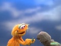 Sesame Street Wolfgang The Seal And Zoe Demonstrate Front And Back