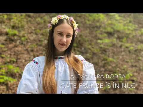 Alexandra Bodea-Câte frunze îs în nuc