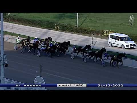 Aversa trotto 31 Dicembre 2022 - 8° Corsa