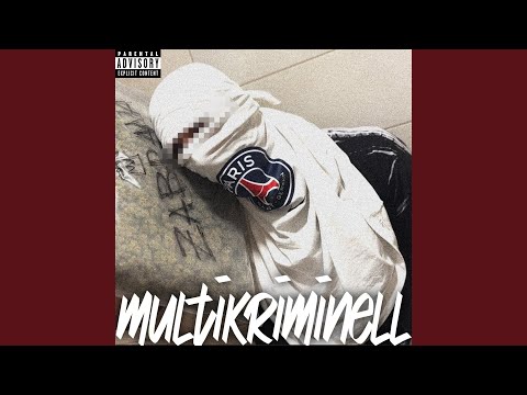 Multikriminell