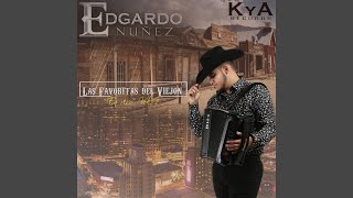Chiquita Bonita (En Vivo) Lyrics English Translation
