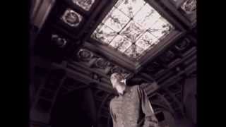 Shelby Lynne - The Road