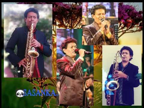 Sunflower with ජයන්ත දිසානායක .දෙව් මැදුරේ 🌿🌿🌿