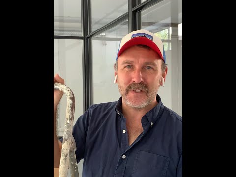 Our July Subscription Coffees