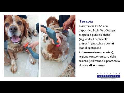 Un medico quando il mal di schiena Rimedio popolare per dolori articolari alle ginocchia e crisi