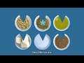 What Is Food Fortification Bangla Subs