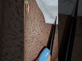 plucking unwanted pubic hair with tweezers #shorts #satisfying #viral