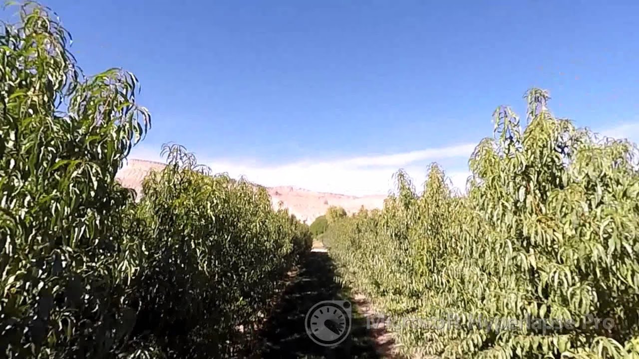 Video: GOPR4534 hyperlapse 3x adv