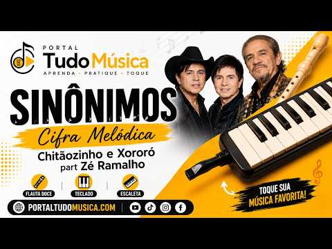 Sinônimos