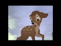 The Opposite Game Parody Music Video Jay Jay The Jet Plane