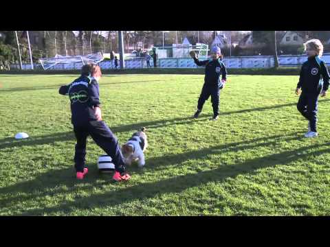 SV Blankenese 4.  F-Junioren