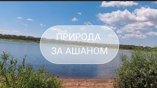 НА ПРИРОДУ ВОЗЛЕ ЭПИЦЕНТРА ЗАПОРОЖЬЕ 17 ИЮНЯ 2026