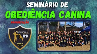 APRENDENDO COM OS MELHORES