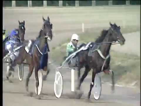 Trotto 10/12/2017 - 5ª corsa