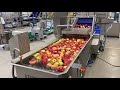 DECONWA Prep Decontaminates Whole Fruits F Ex Apples And Vegetables